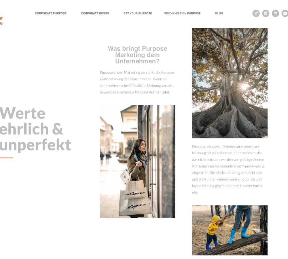 layout website -conceptanddesign